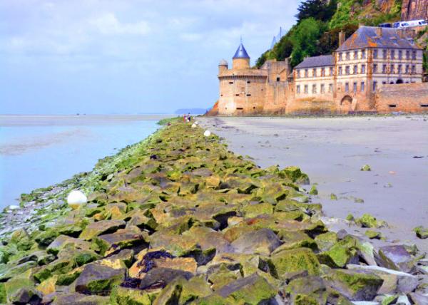 2024-06-20_03_Perches aplenty from which to think clearly or at least to get lost in thought.0001.JPG