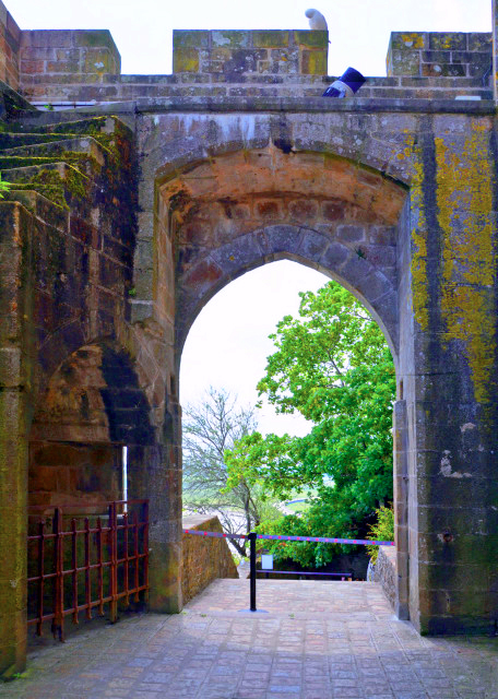 1772308400439886.jpg 2024-06-20_23_Stone Pathway0001.JPG