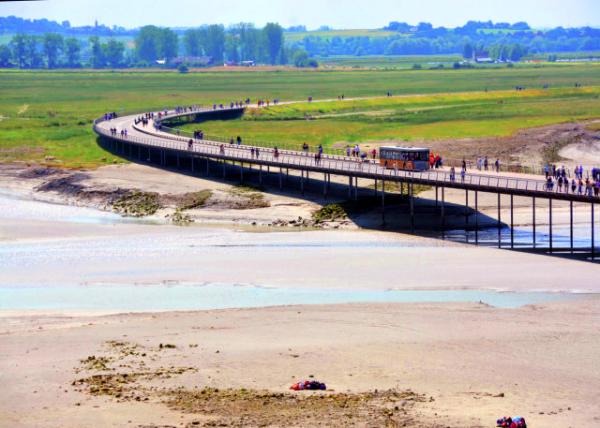 2024-06-20_67_Causeway Bridge0001.JPG