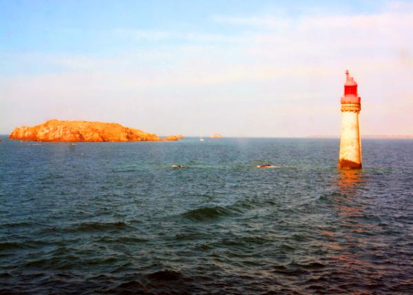 2024-06-20_23_Grand Jardin Lighthouse Located in the Saint-Malo Pass off the Rance Estuary on the English Channel0001.JPG
