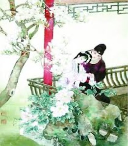 1772322971712865.jpeg image.jpeg