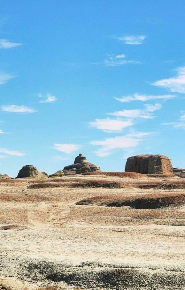 1772333576457666.jpg Picture8.jpg