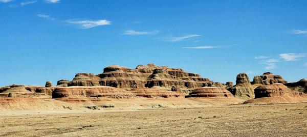 1772333576609596.jpg Picture6.jpg