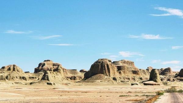 1772333576711346.jpg Picture7.jpg