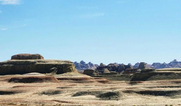 1772333577820795.jpg Picture9.jpg