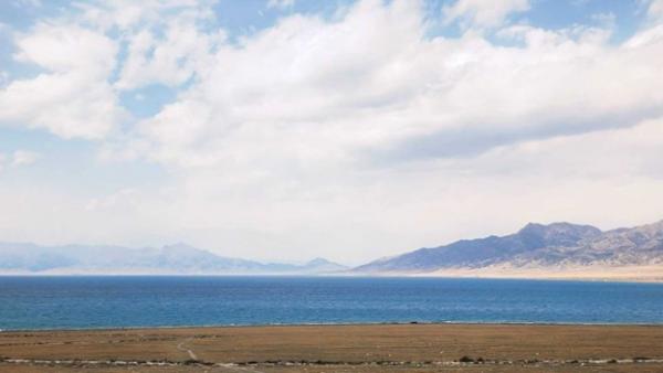 1772333816305408.jpg Picture13.jpg