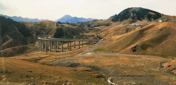 1772333995430152.jpg Picture18.jpg