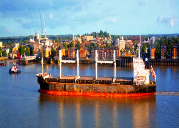 2024-06-22_19_Gravesend_Multipurpose & HeavyLift Carrier0001.JPG