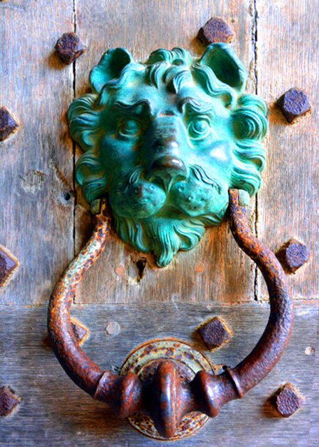 2024-06-22_44_Brass Lion Door Knocker on a Wooden Door0001.JPG