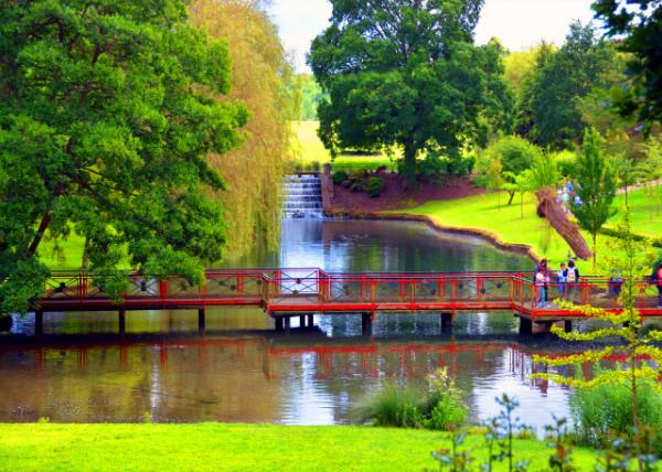 2024-06-22_45_Cedar Pond0001.JPG