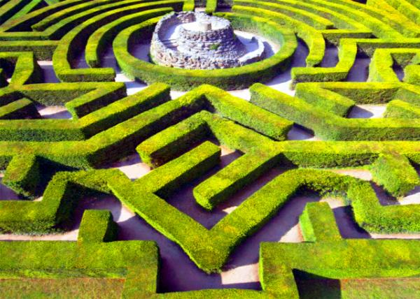 2024-06-22_Maze Constructed of 2_400 Yew Trees w the General Appearance of a Topiary Castle0001.JPG
