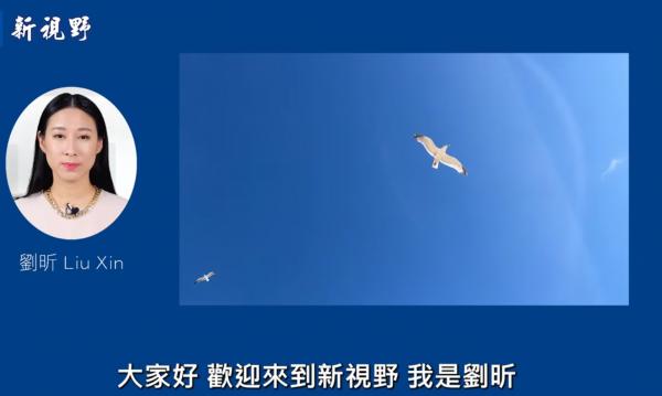 1772418881368067.png IMG_1529.png