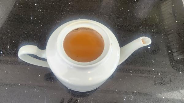 1772427093720745.jpg Fig12.jpg