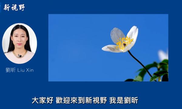 1772549517406076.png IMG_1854.png