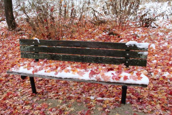 1773015849174694.jpg 0000 IMG_0208 (Custom).JPG