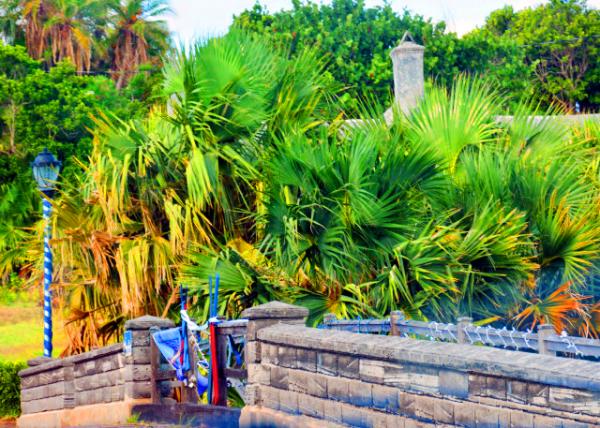 2024-08-08_10_Somerset Bridge_ the World's Smallest Working Drawbridge0001.JPG