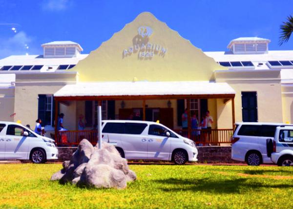 2024-08-08_28_Bermuda Aquarium_ a Window into Bermuda's Rich Marine Life0001.JPG