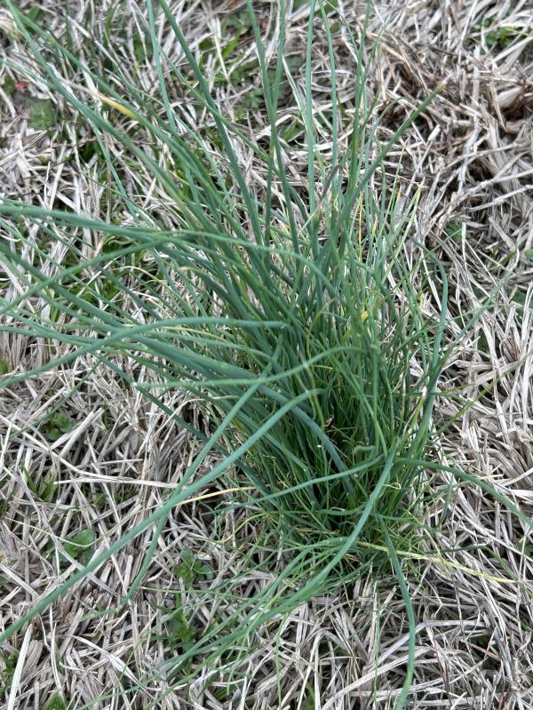 0 IMG_1501 (自定义).JPG