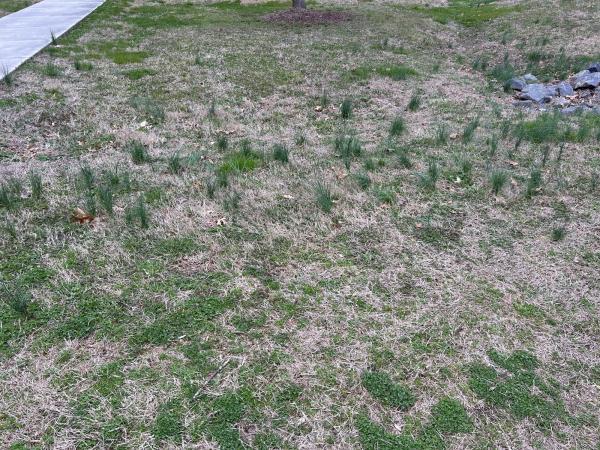 00 IMG_1503 (自定义) (自定义).JPG