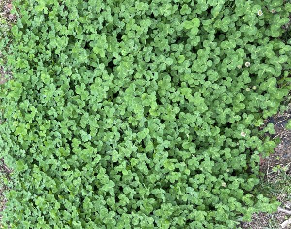 01 IMG_1638 (自定义).JPG