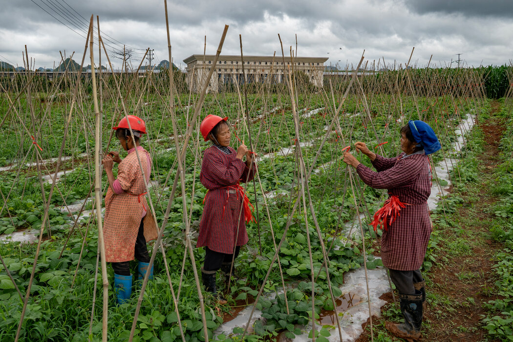 中国政府表示，将把农村居民的基础养老金最低标准每月提高20元，使总额达到每月163元。