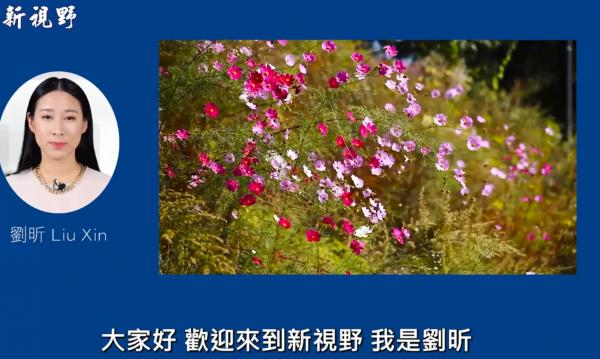 1773536279869842.png IMG_5590.png