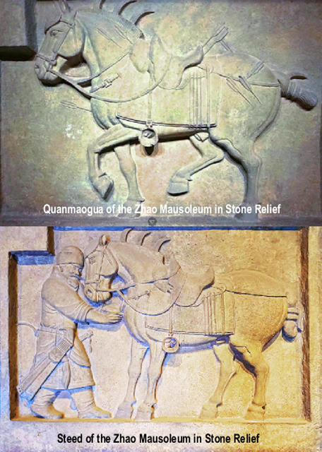 1773799714280799.jpg Stone Reliefs_Six Steeds of Zhao Mausoleum昭陵六骏.jpg