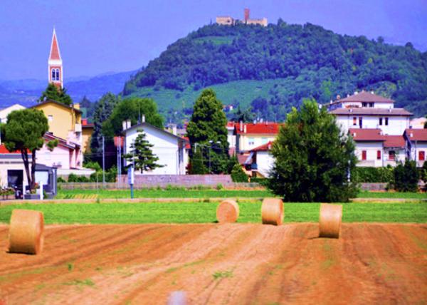 2018-07-10_Winery �Ƴ�-10001.JPG