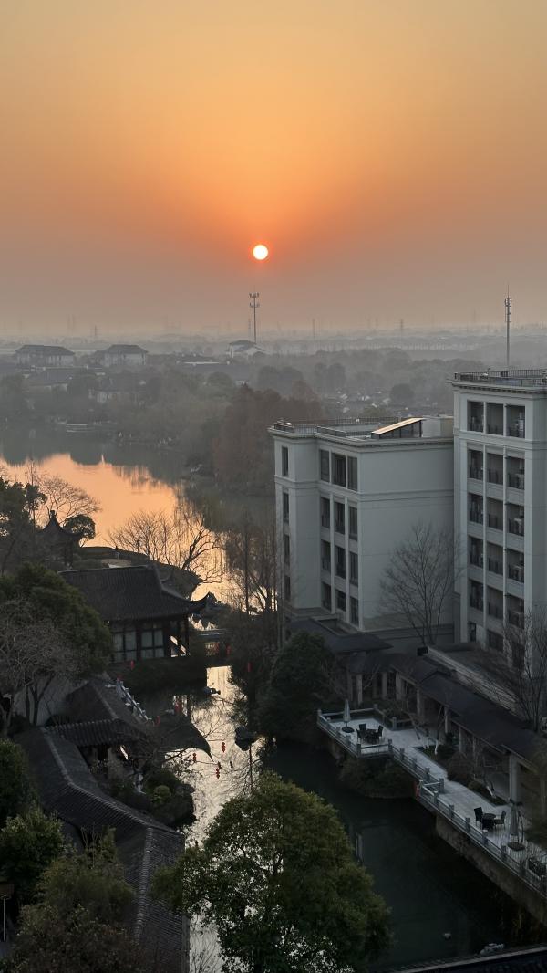 1774048341831658.jpeg IMG_8016.jpeg