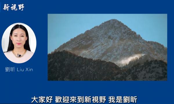 1774063025320970.png IMG_6704.png