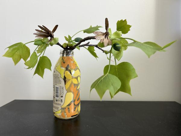 1774133414650586.jpg IMG_2070.JPG