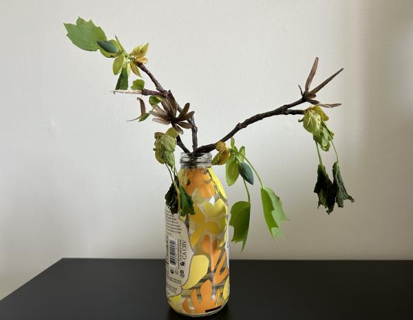 1774133625847950.jpg IMG_2507.JPG