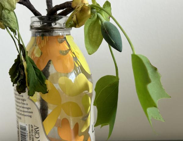 1774133625962866.jpg IMG_2508.JPG