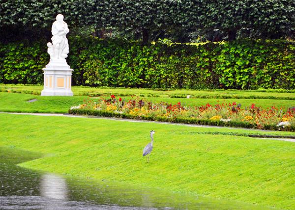 2017-08-18_Gardens_Heron ��-10001.JPG