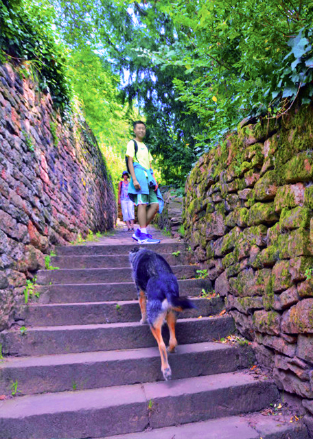 1774211327142348.jpg 2017-08-20_Street_Schlangenweg or Snake Path_ Steep Gorges w Partly Brick Walls 蛇径0001.JPG