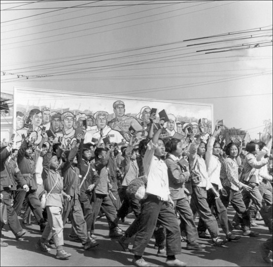 1774240739165291.jpg Picture2.jpg