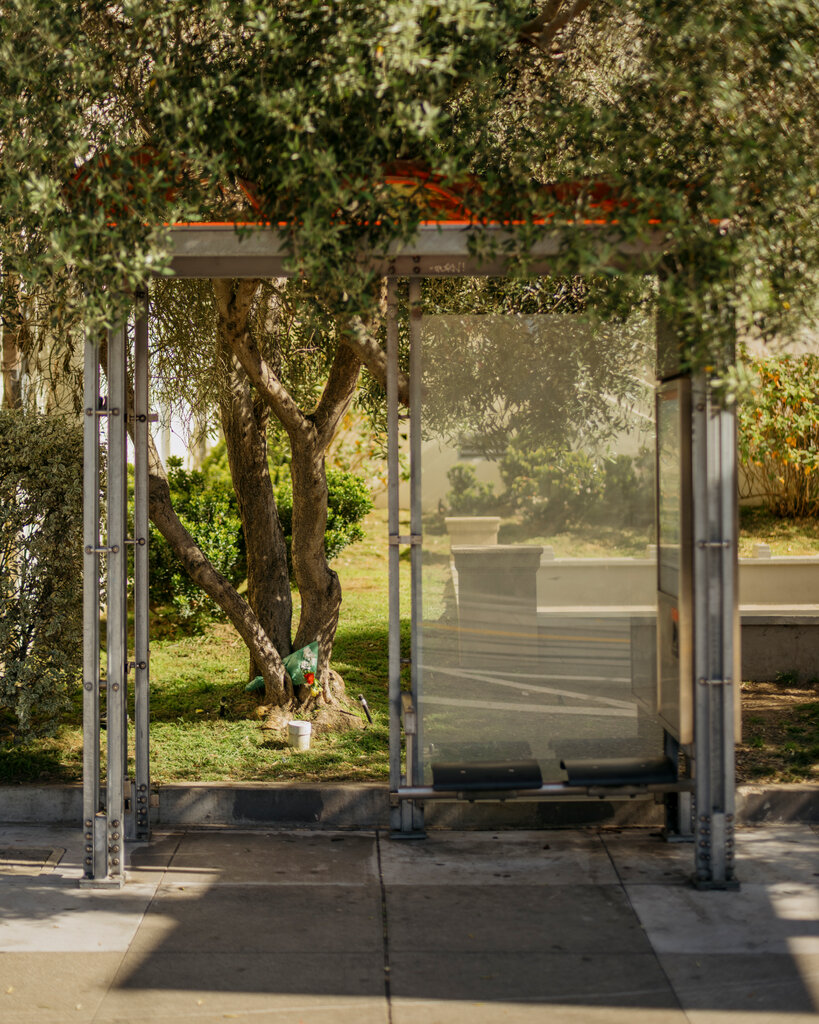 2024年3月,当玛丽·方·刘驾车撞上这家人时,他们正站在公交车站等车,准备去旧金山动物园。