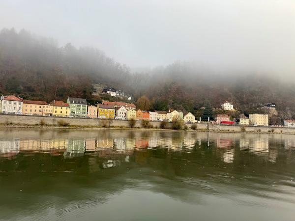 1774276808777166.jpeg IMG_1806.jpeg