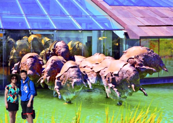 2017-07-05_Fuschl am See_Red Bull GmbH_Marketing Meister Red-Bull, One-Man Show Ӫ����ʦ��ţ��һ����-10001.jpg