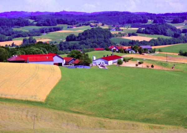 2017-07-05_Home on the Ranch �����ϵļ�0001.JPG