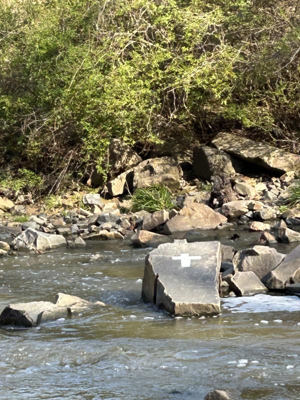 IMG_1899 (自定义).JPG