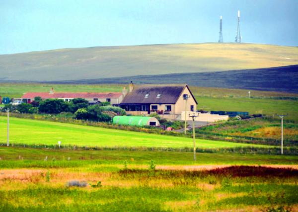 2016-07-14_Home on the Range �����ϵļ�-20001.JPG