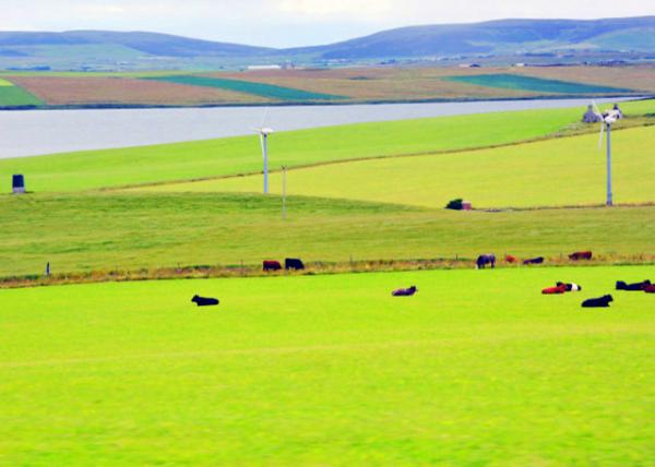 2016-07-14_Skaill Farm ˹����ũ��0001.JPG