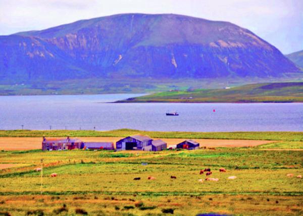 2016-07-14_Scapa Flow_off the Northern Tip of the Scottish Mainland ˹�����塤�ո����¿����������-30001.JPG