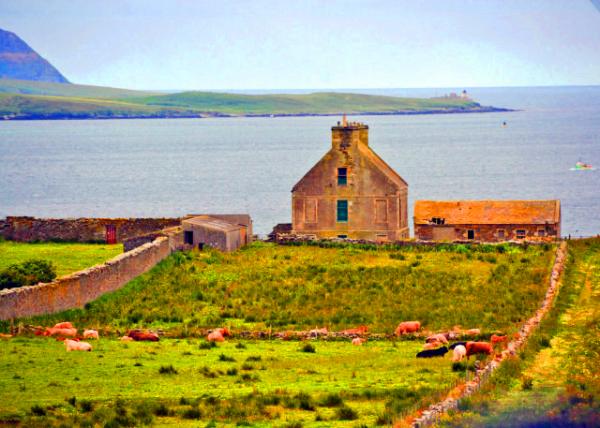 2016-07-14_Stromness_Waterfront Farmhouse ����ũ��-30001.JPG