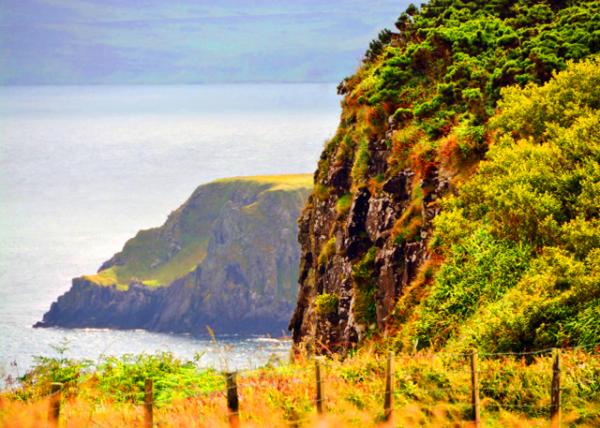 2016-07-11_Fair Head_Complete Scream ƽͷᵽǡ������ľ�-10001.JPG