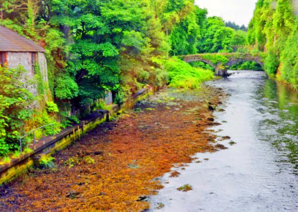 2016-07-11_Glenarm River ���˹Ⱥ�-10001.JPG
