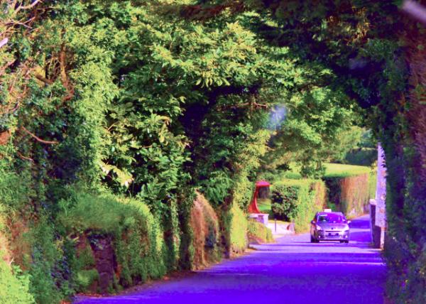 2016-07-08_Tree Road0001.JPG