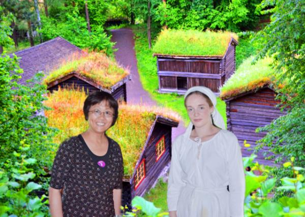 2016-06-26_Norsk Folkemuseum_Sod Log Houses in the Farmstead from Østerdal Ų����䲩��ݡ����Զ�˹�ش���ɽ�ȵĲ�Ƥľ��-10001.JPG