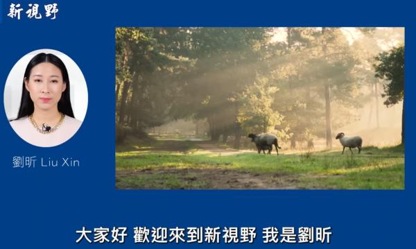 1774722816762827.png IMG_8638.png